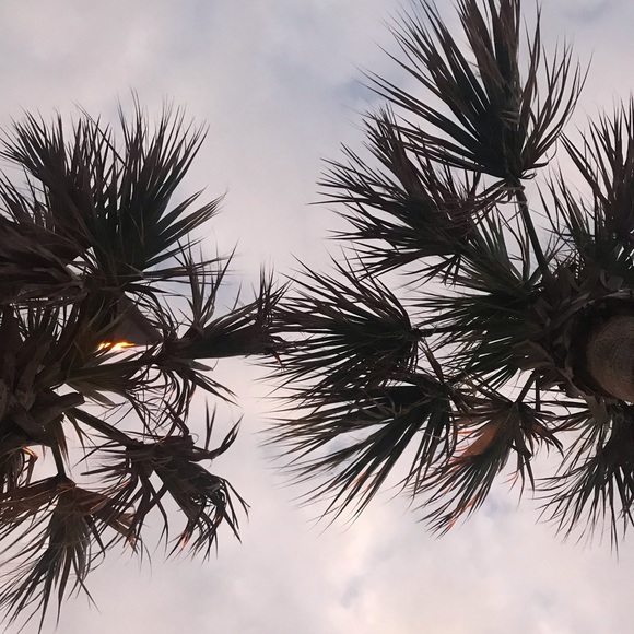 Meet your Posher, Ambren - Picture 12 of 16